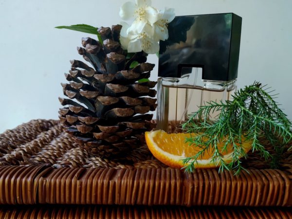 Древесные ароматы: обзор лучшего женского и мужского парфюма и правила выбора